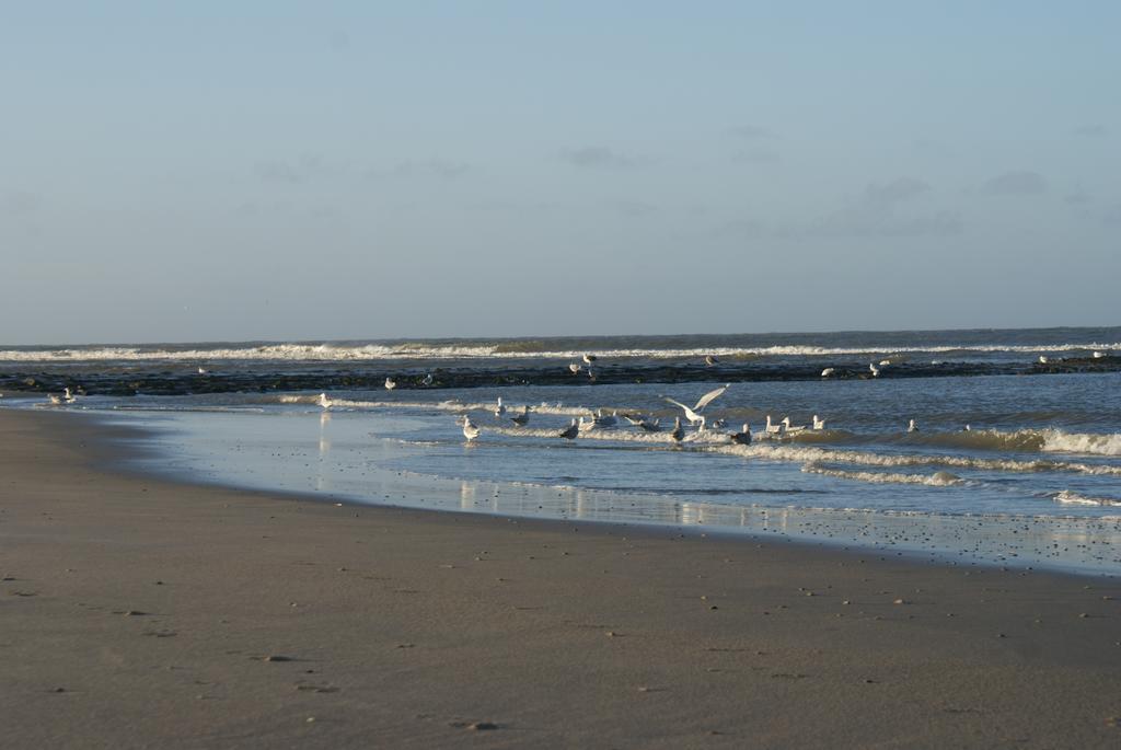 De Herbergh Van Flielant Vlieland Exterior photo